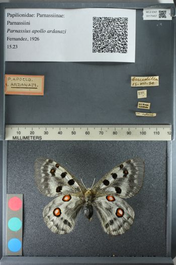 Media type: image;   Entomology 175457